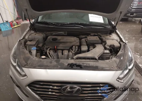2019 Hyundai Sonata Se z USA, uszkodzony, nr VIN 5NPE24AF4KH776356